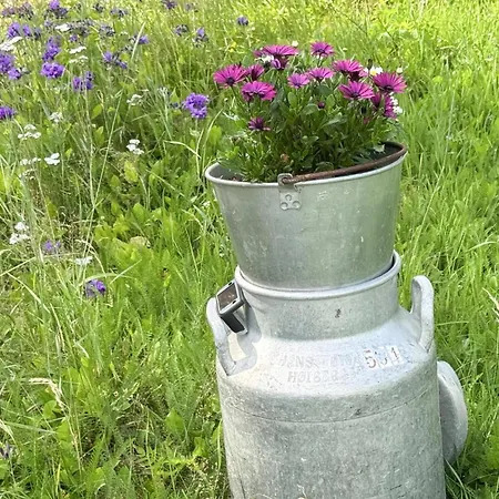 Hébergement de vacances Stunning In Engerdal With Wifi Nymoen